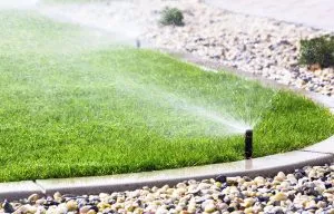 Lawn Watering Tips