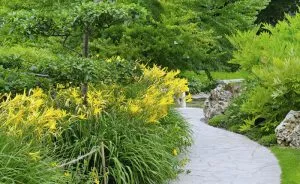 Lawn Care Facts And Myths