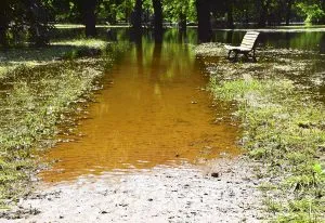 Excess Water Damage To Lawns