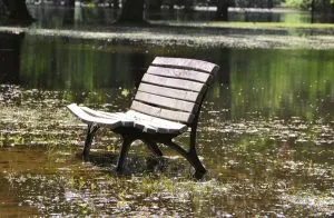 Lawn Damage From Flooding