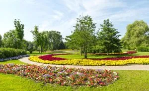 Improve Curb Appeal With Landscaping
