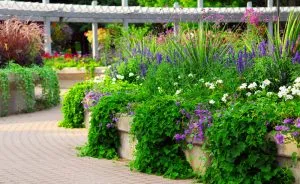 Latest Landscaping Styles