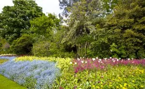 Benefits Of Using Native Plants