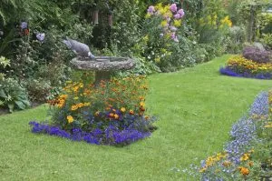 ThinkstockPhotos 177348279