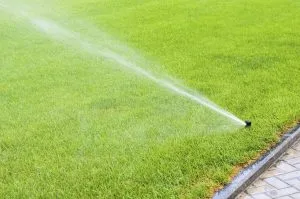 ThinkstockPhotos 477823993