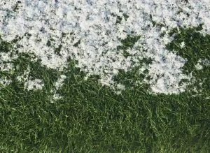 Snow On Lawn