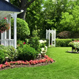 Alamo Heights Landscaping Service