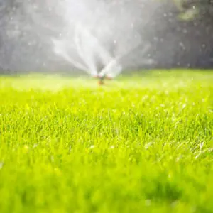 Lawn Care Services For Jefferson Heights