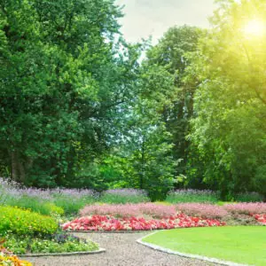 Stone Oak Landscaping Texas