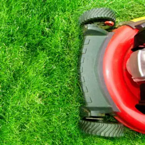 Year Round Certified Lawn Care